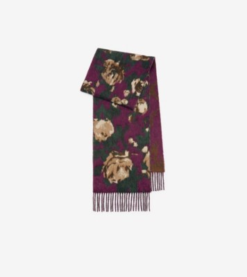 Rose Alpaca Wool Blend Scarf Plum ®