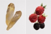 Split image shot of an amber crystal on the left and raspberries on the right