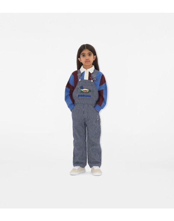 Striped Denim Dungarees