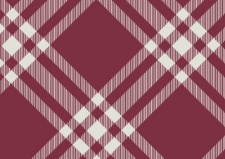 Burberry Red Check Animation