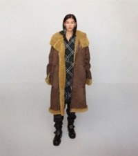 Shearling coat in moss and brown 