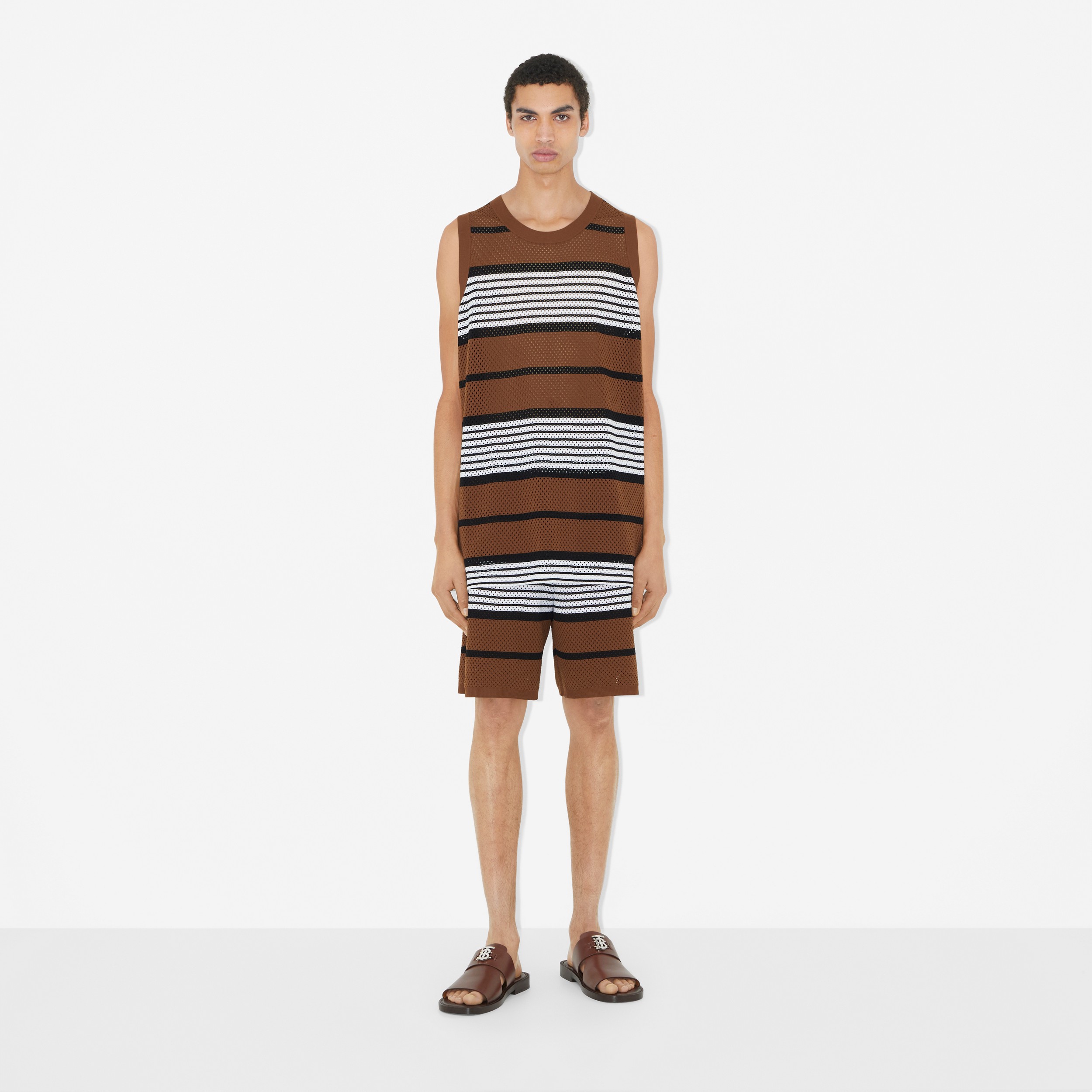 Stripe Print Nylon Shorts in Dark Birch Brown - Men | Burberry® Official - 2
