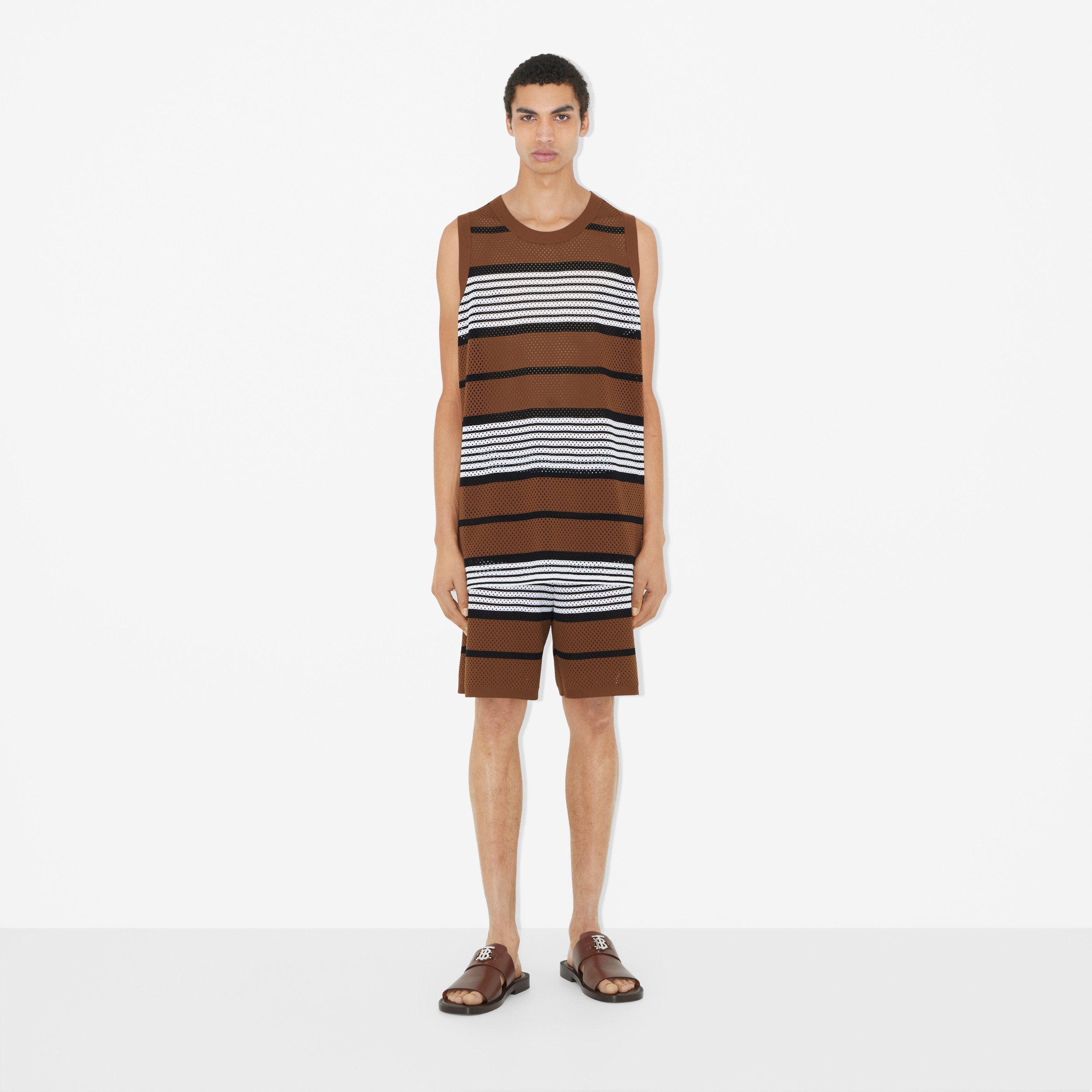 Stripe Print Nylon Shorts in Dark Birch Brown - Men | Burberry® Official - 2