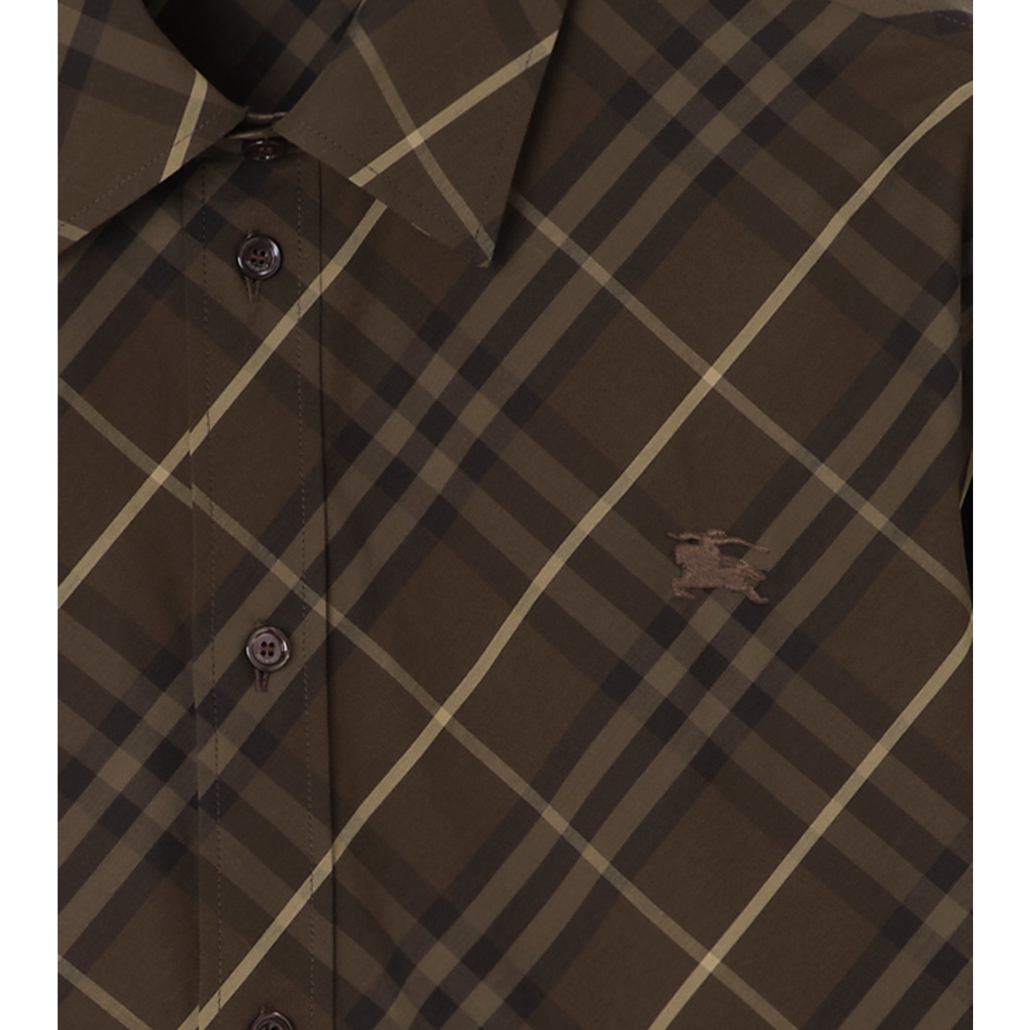 Classic Fit Check Cotton Shirt