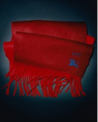 Burberry Cashmere Scarf in Red