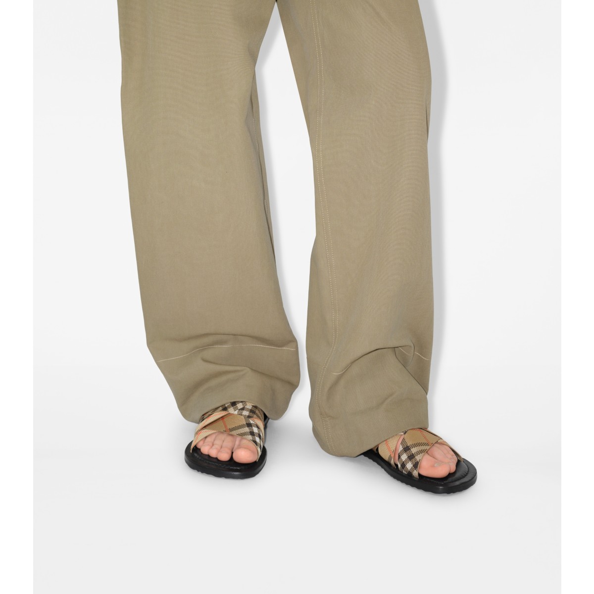  Check Pavilion Slides​