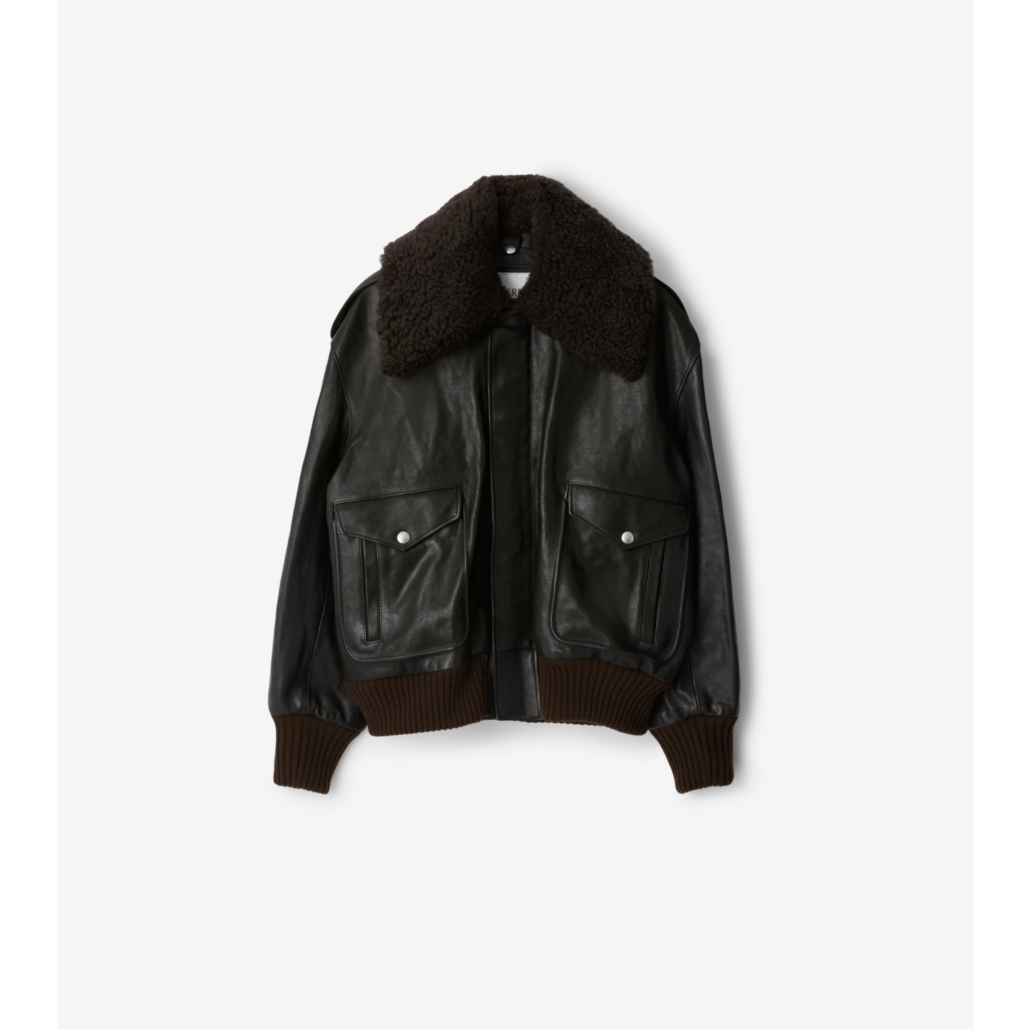 Shearling collar 2025 jacket mens