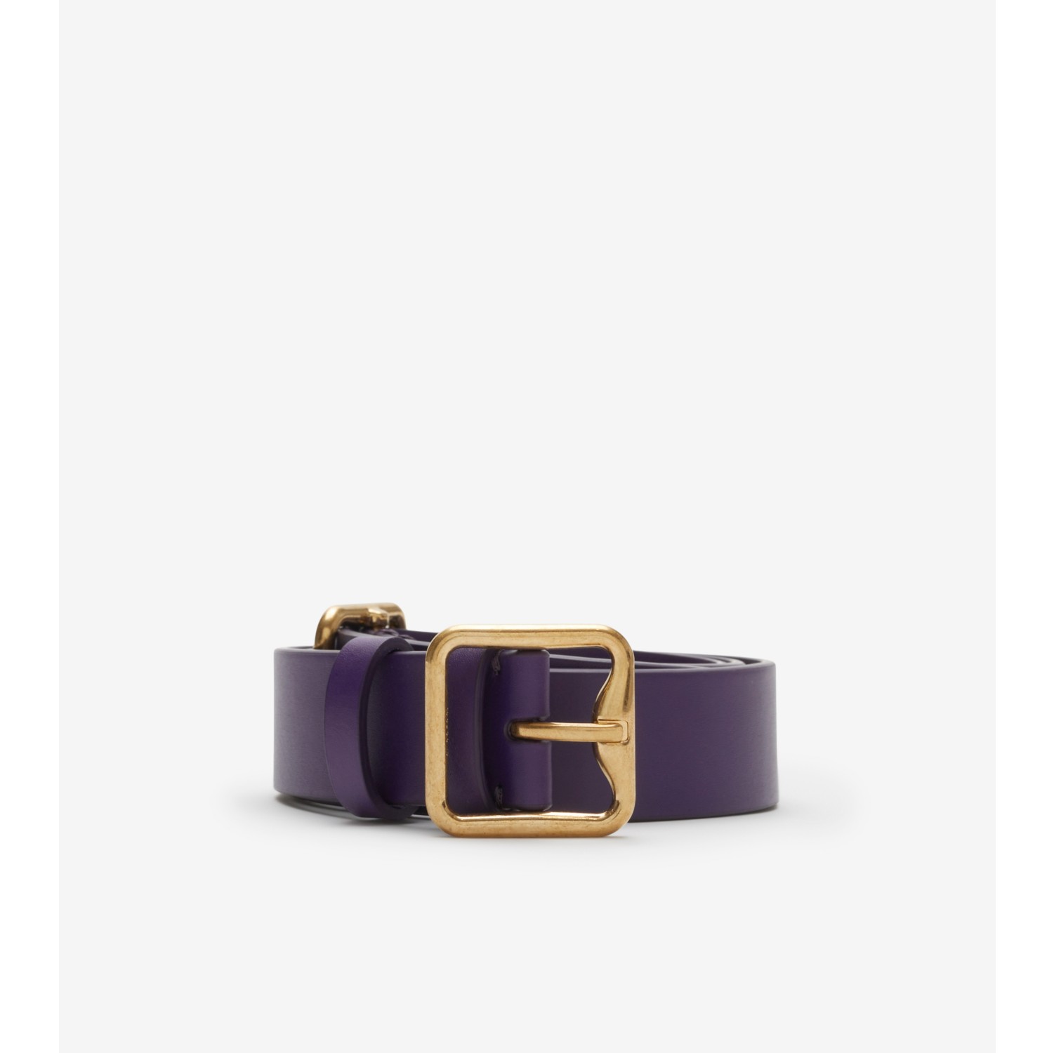 Burberry belt 2025 with b buckle