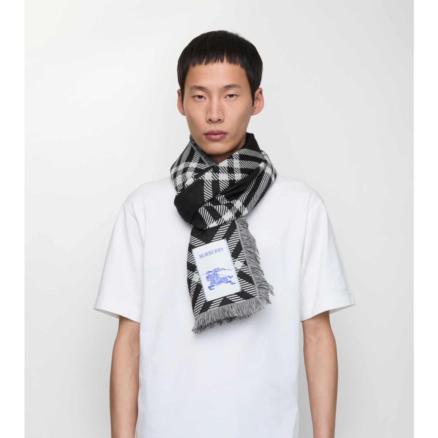 Foulard en laine et soie Check