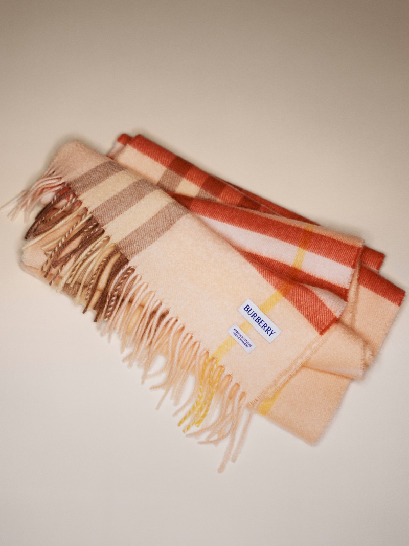 Check Cashmere Scarf in colour Teacup