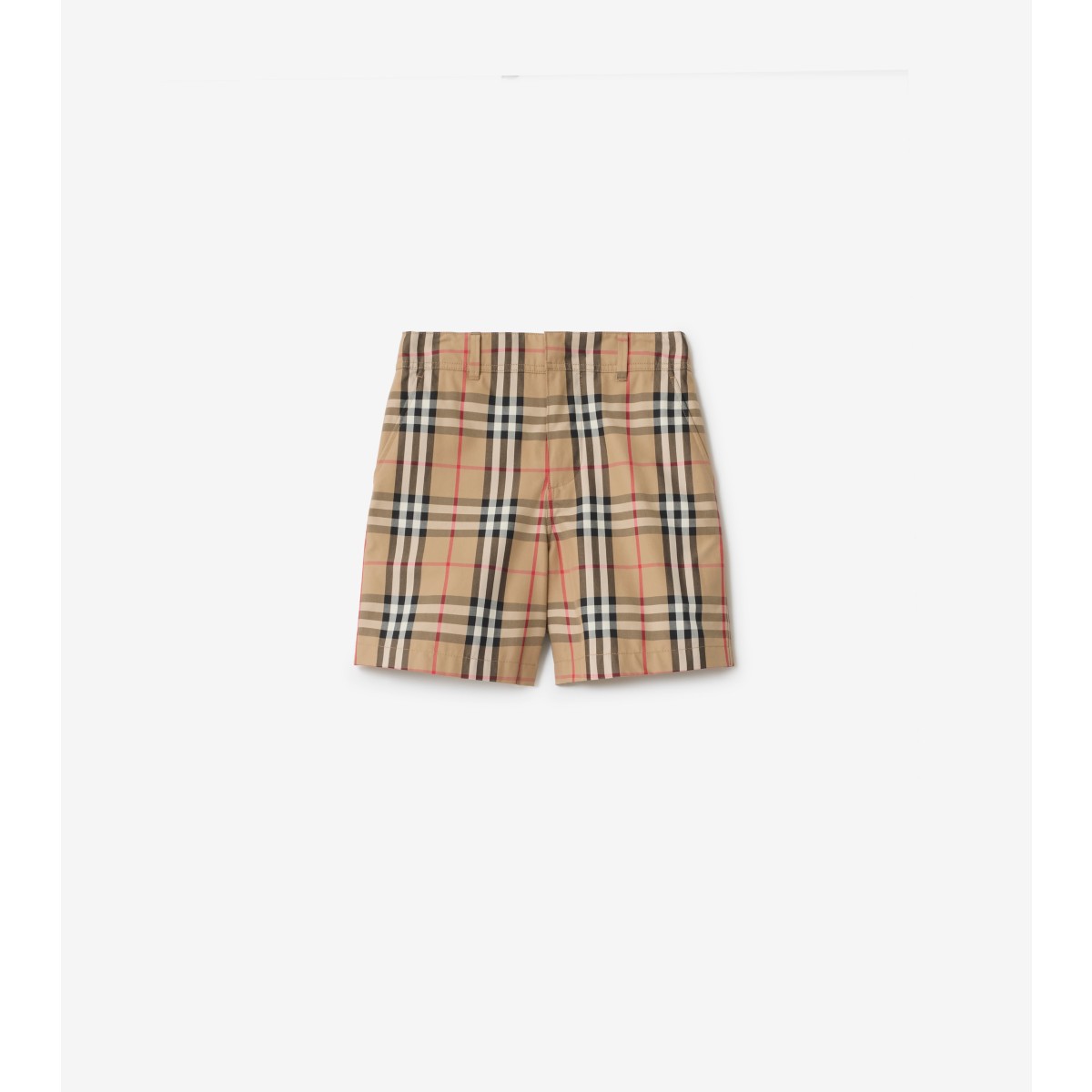  Check Cotton Oxford Shorts