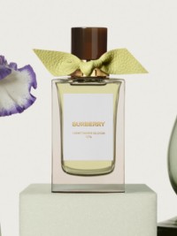 Frasco de perfume Burberry Signatures