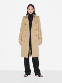 Trench Coat