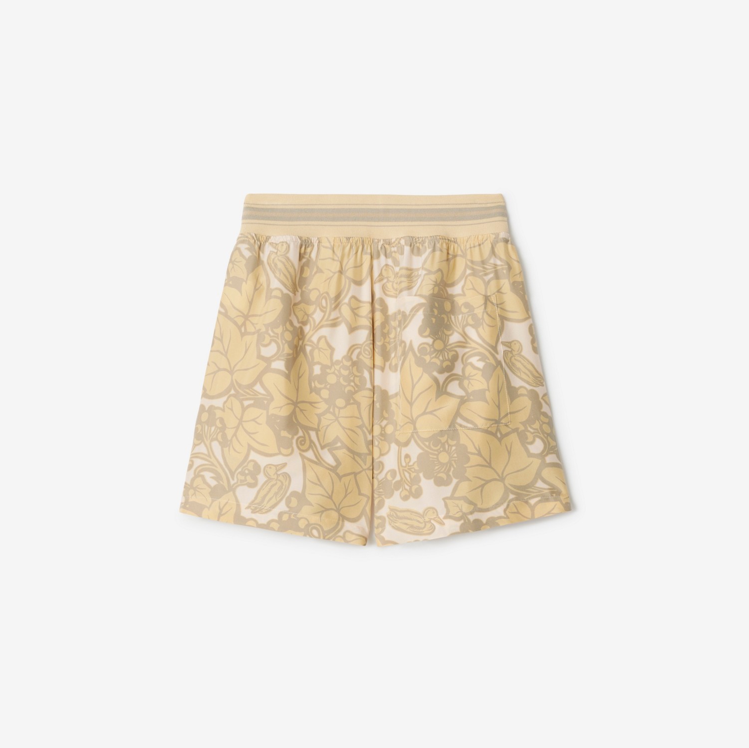 Ivy Silk Shorts