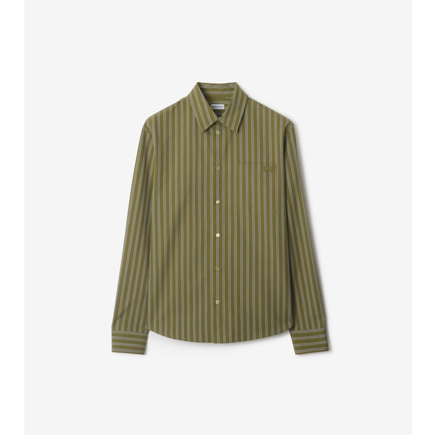 Regular Fit Striped Cotton Shirt in Wreath green - Men | Burberry® Official