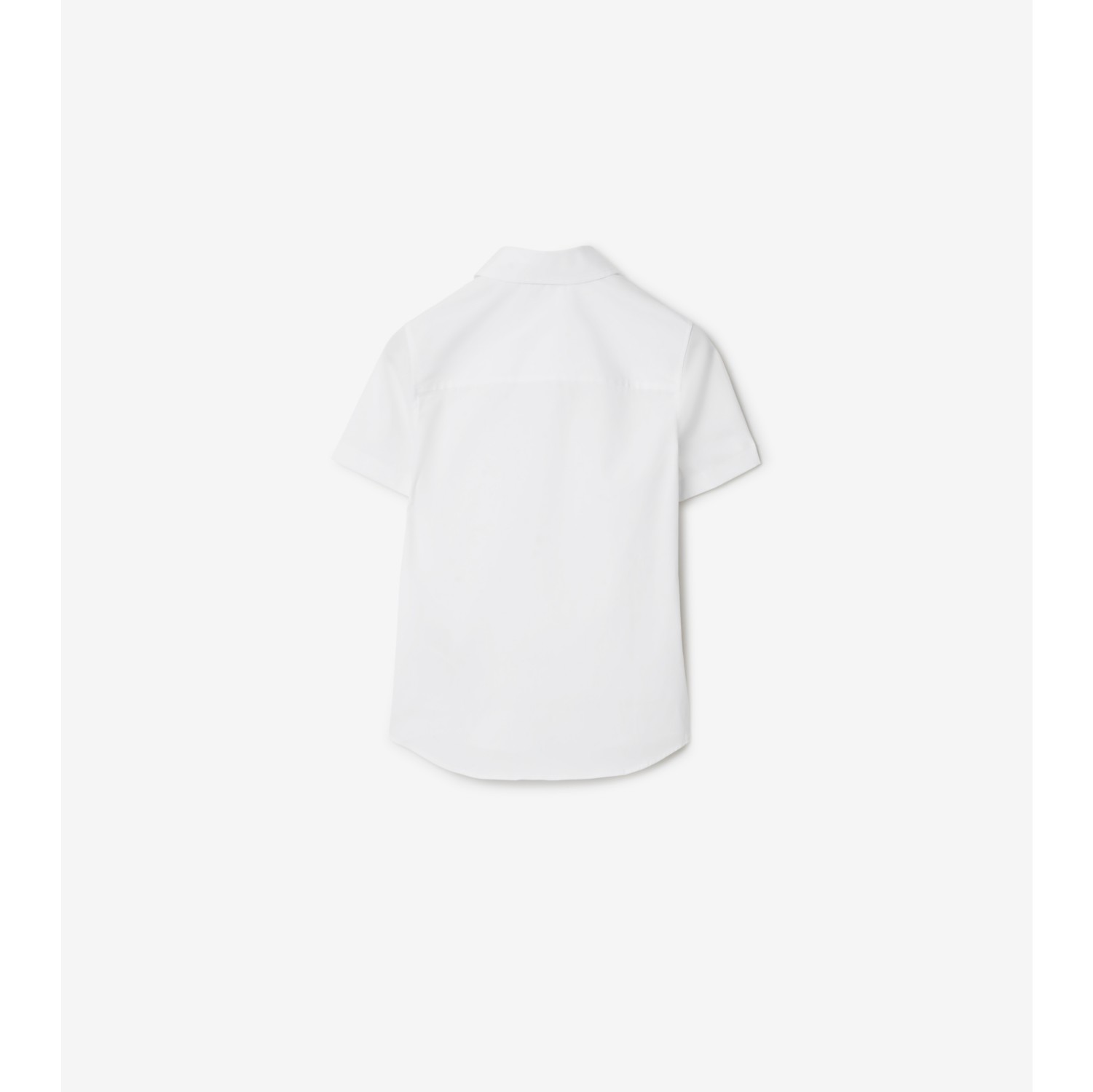 Burberry Cotton T Shirt 8084970 B7347