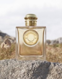 Frasco de perfume Burberry Gold