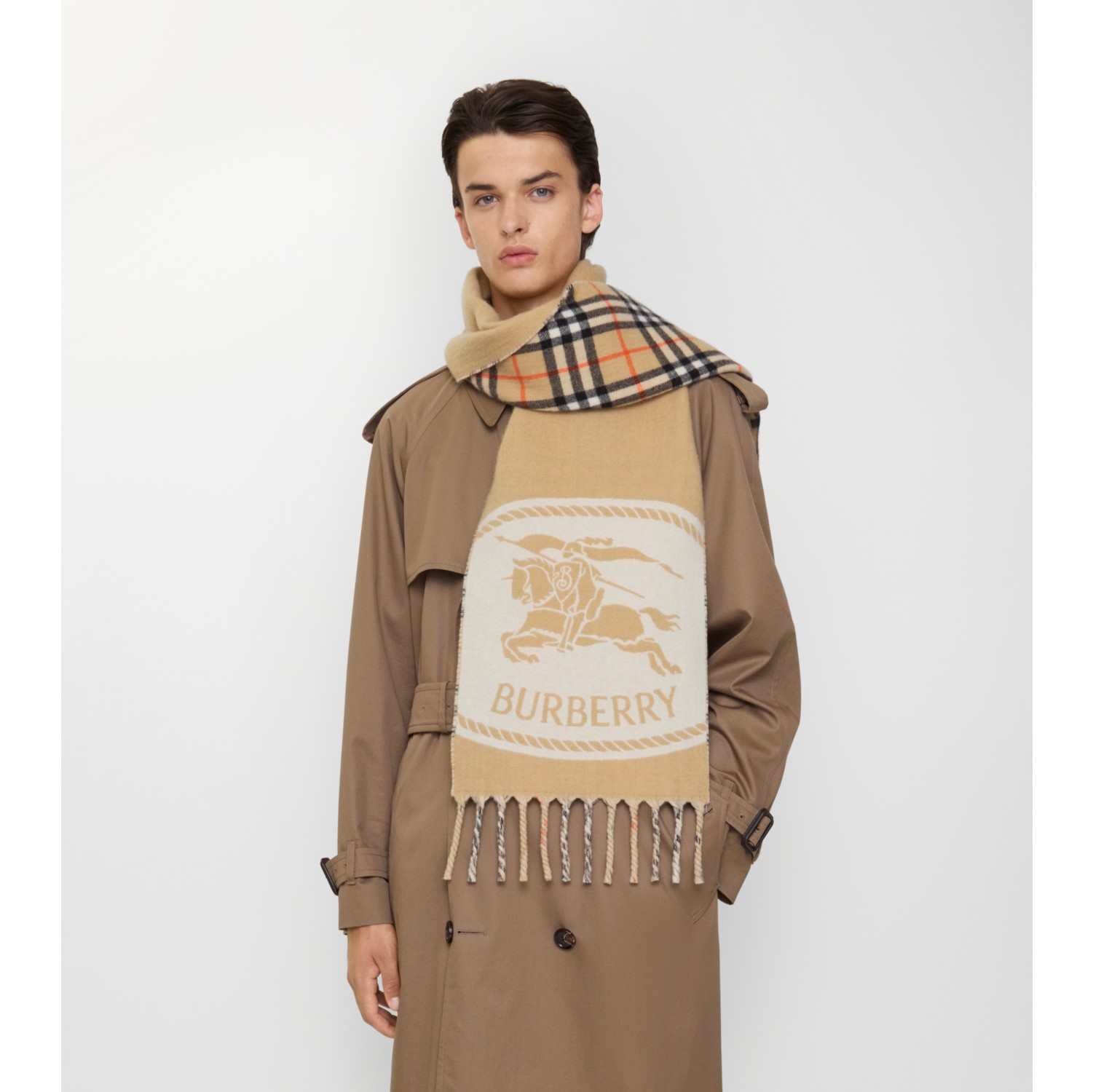 Reversible Knight Stamp Scarf