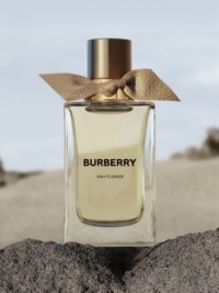 Fragranza Burberry Signatures Ash Flower