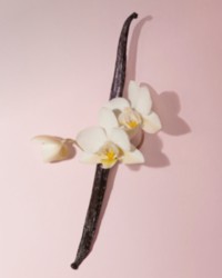 バーバリー ハー | Burberry® 公式サイト