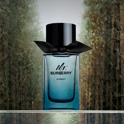 mr burberry edt