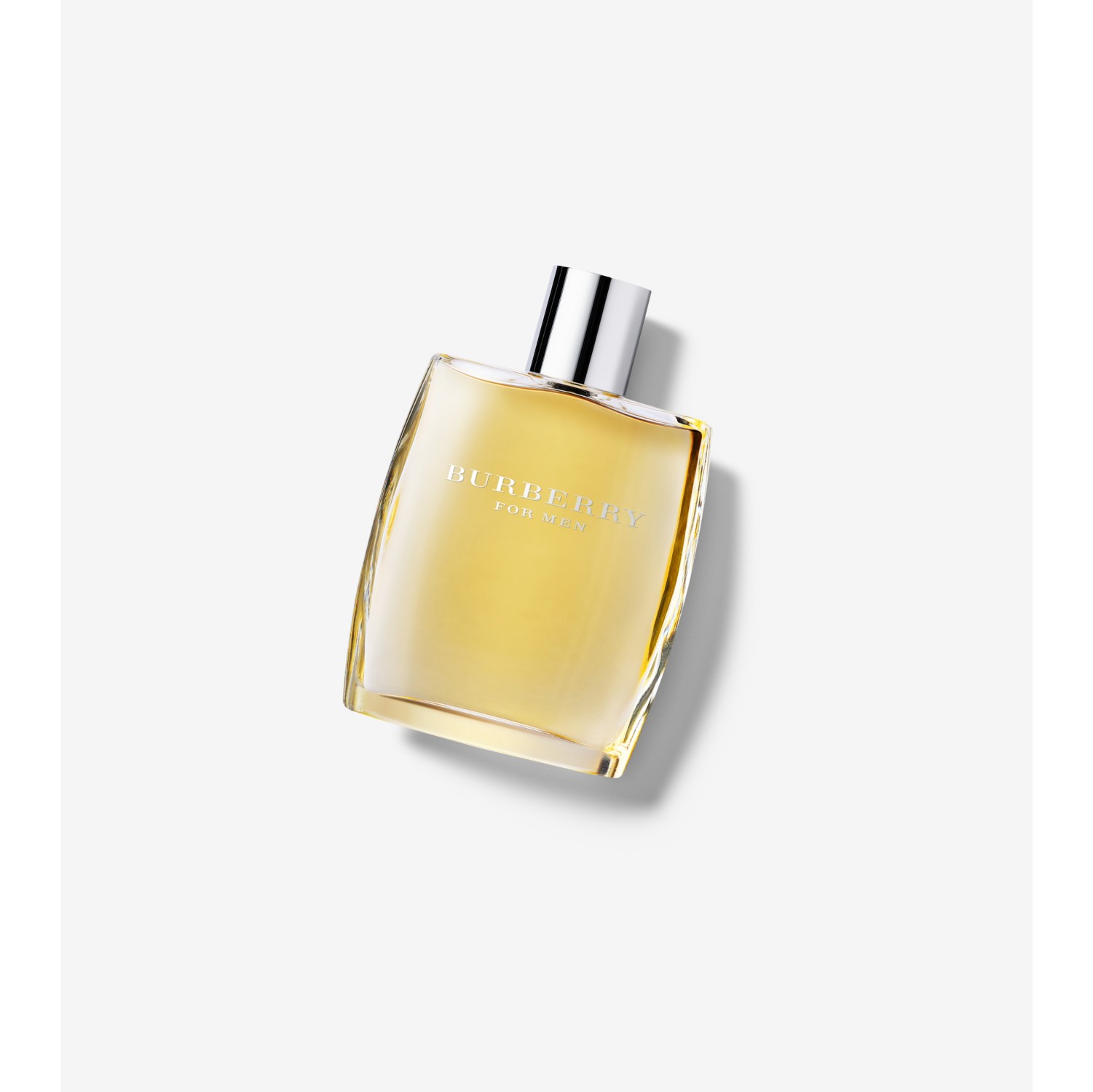 Burberry For Men Eau de Toilette 100ml - Men | Burberry® Official