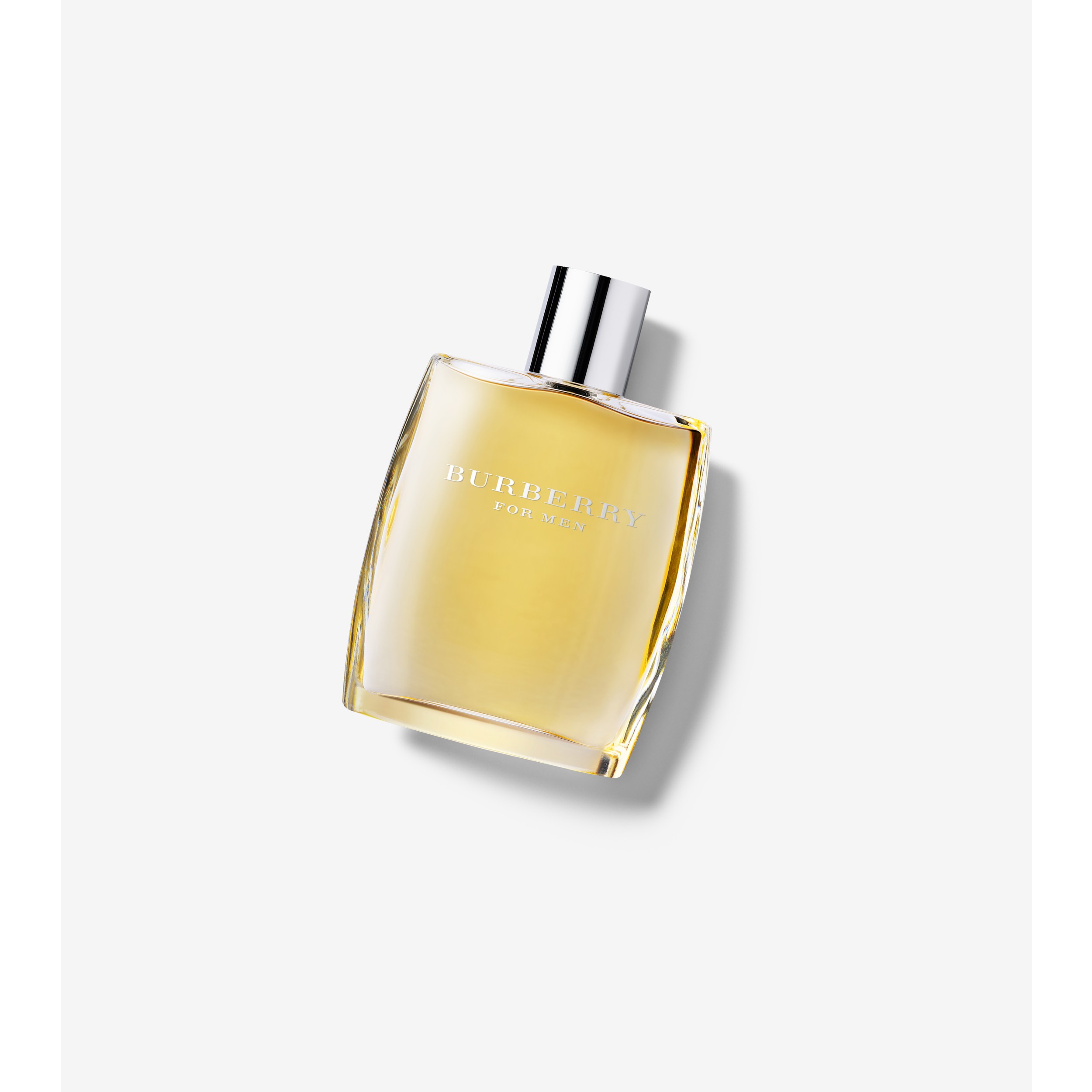 Burberry For Men Eau de Toilette 100ml - Men | Burberry® Official