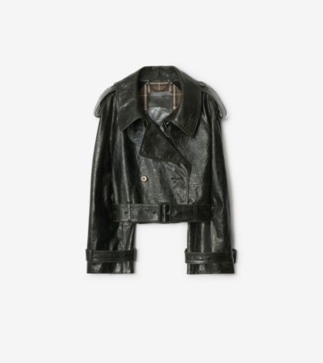 C239FE2F-89EF-451E-A6FB-