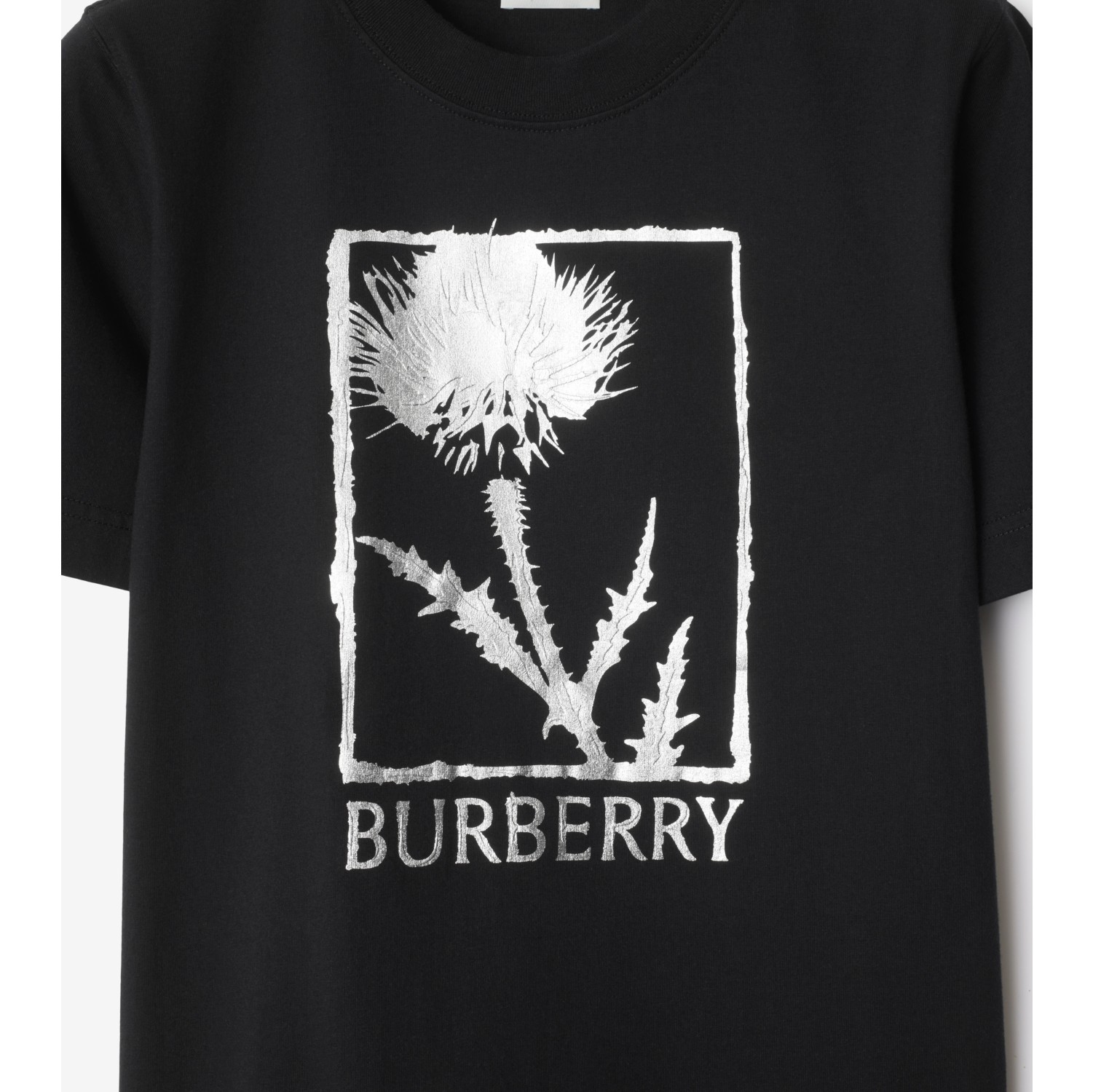 Thistle Cotton T-shirt