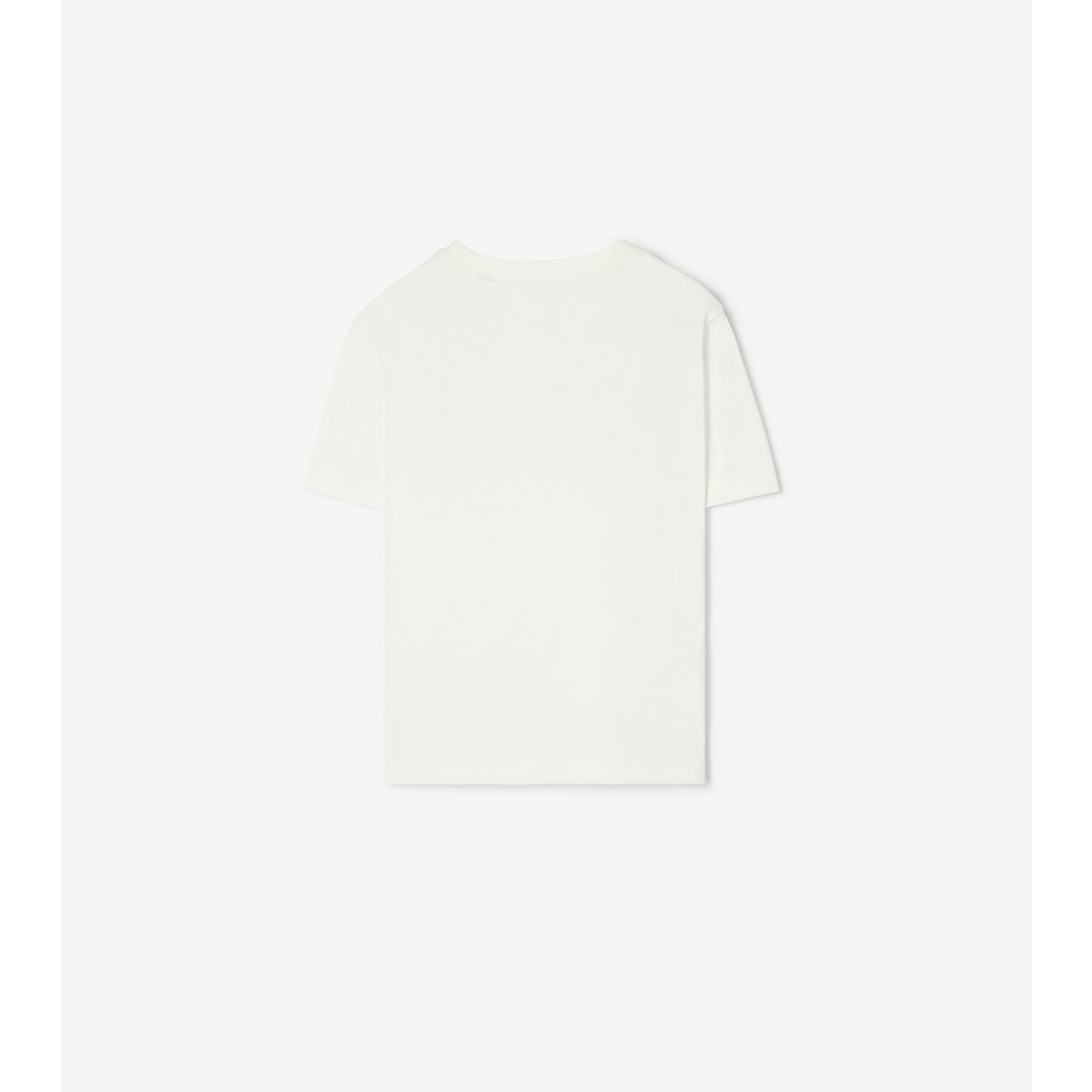  Check Thomas Bear and Friends T-shirt