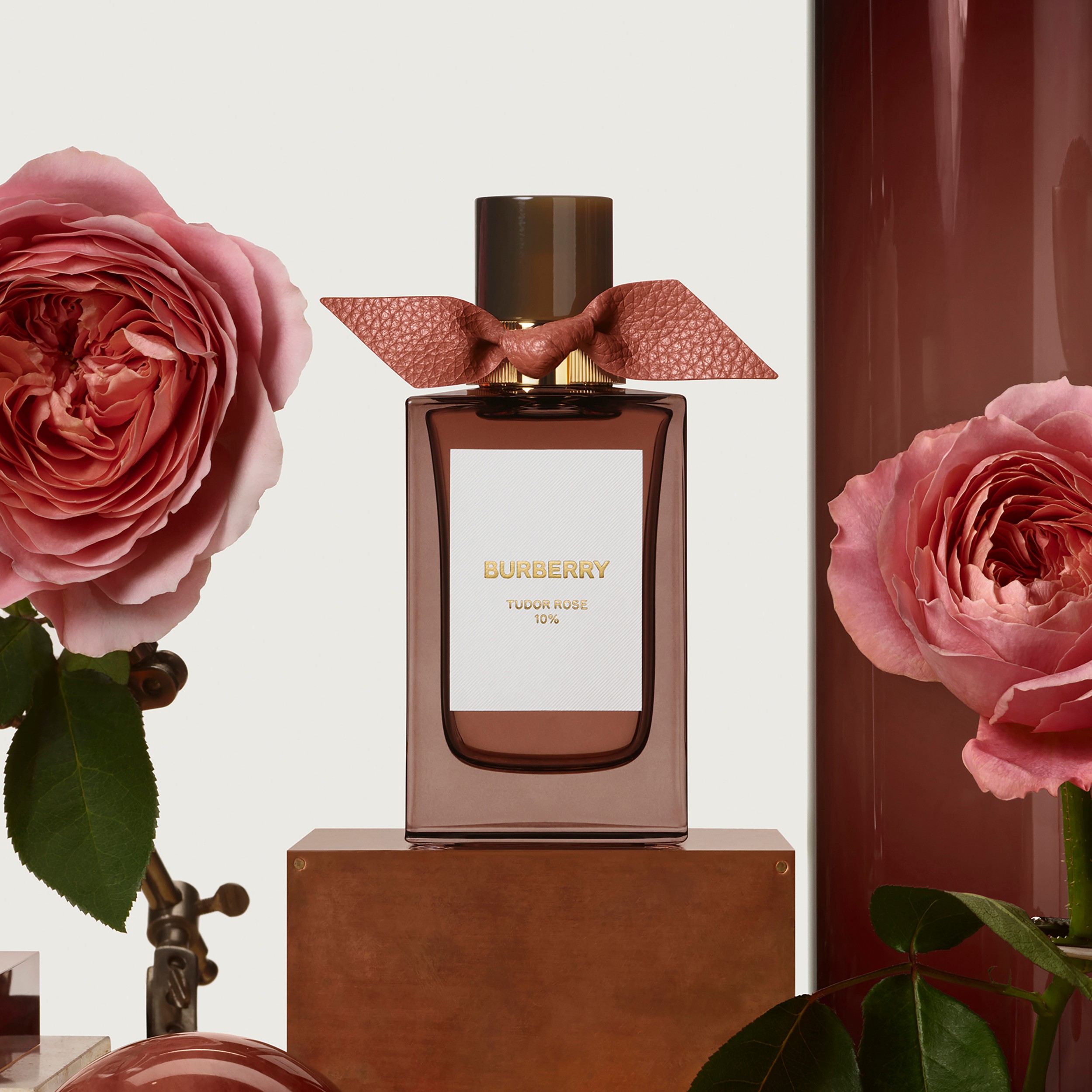 Burberry Rose. Tudor Rose.