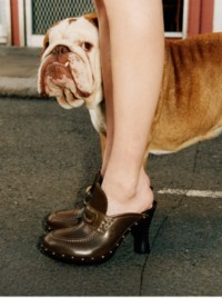 Model in Mules aus Leder beim Spazierengehen mit einer Englischen Bulldogge 