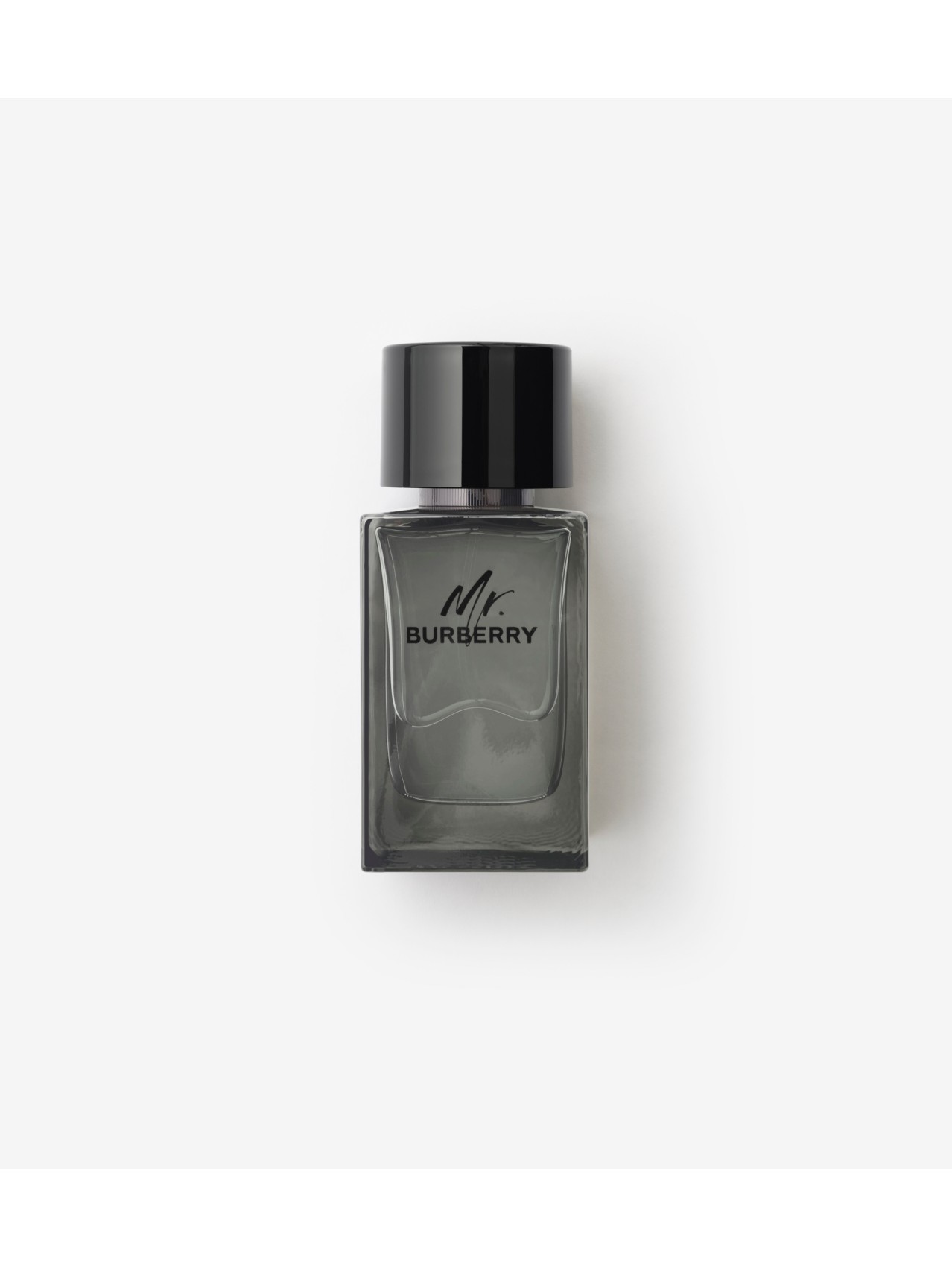 Mr. Burberry オードパルファム 100ml Mr. Burberry Eau de Toilette 100mlMiscellaneous - Men