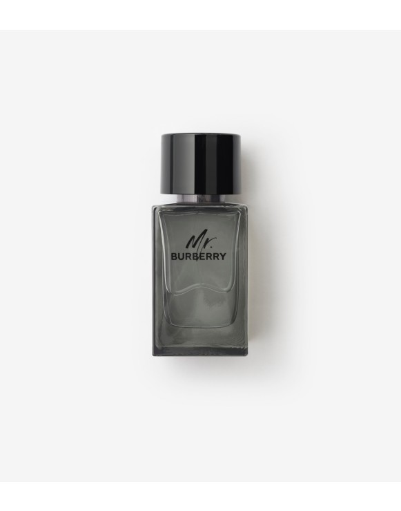 Mr. Burberry Eau de Toilette 100ml