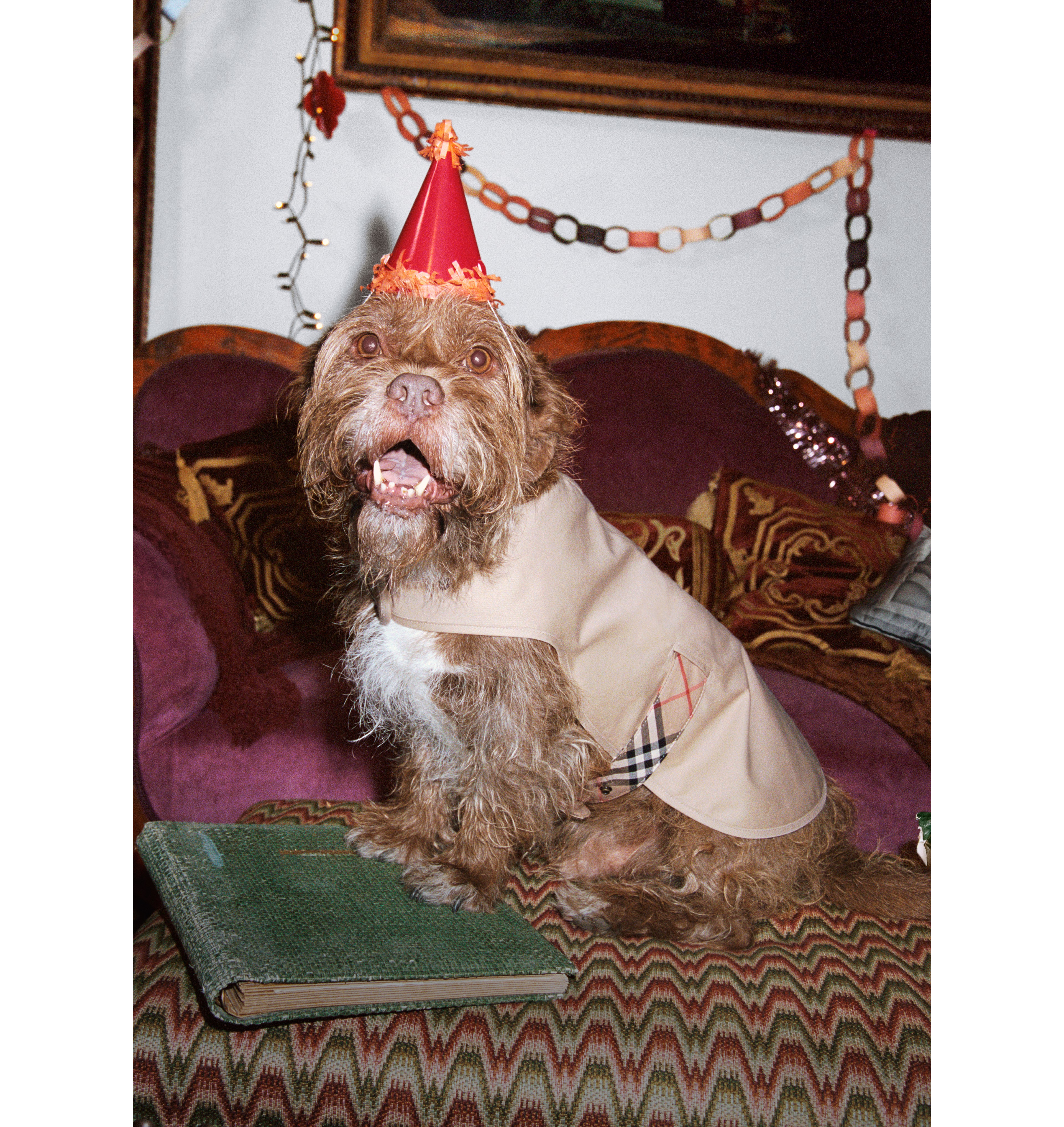 C893463E-477F-4B9F-BF56-