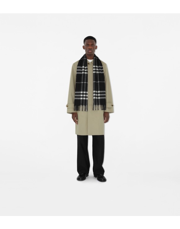 Burberry cashmere scarf for men online