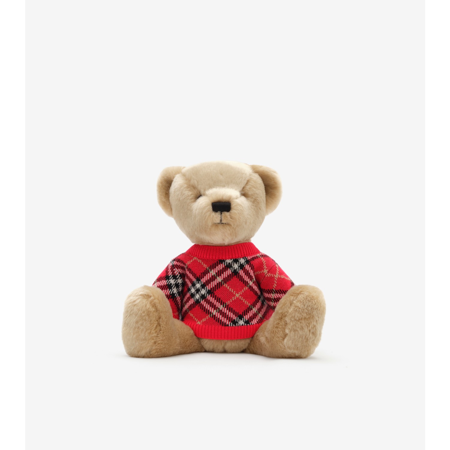 Thomas Bear