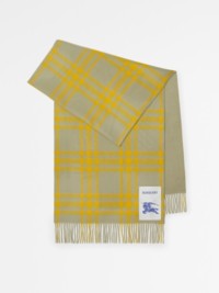 Check Cashmere Reversible Scarf in Hunter