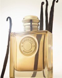 Burberry Goddess-Flakon und Vanilleschoten 