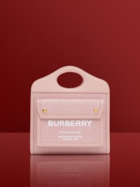 Bright Red and Dusky Pink Canvas and Leather Mini Pocket Bag
