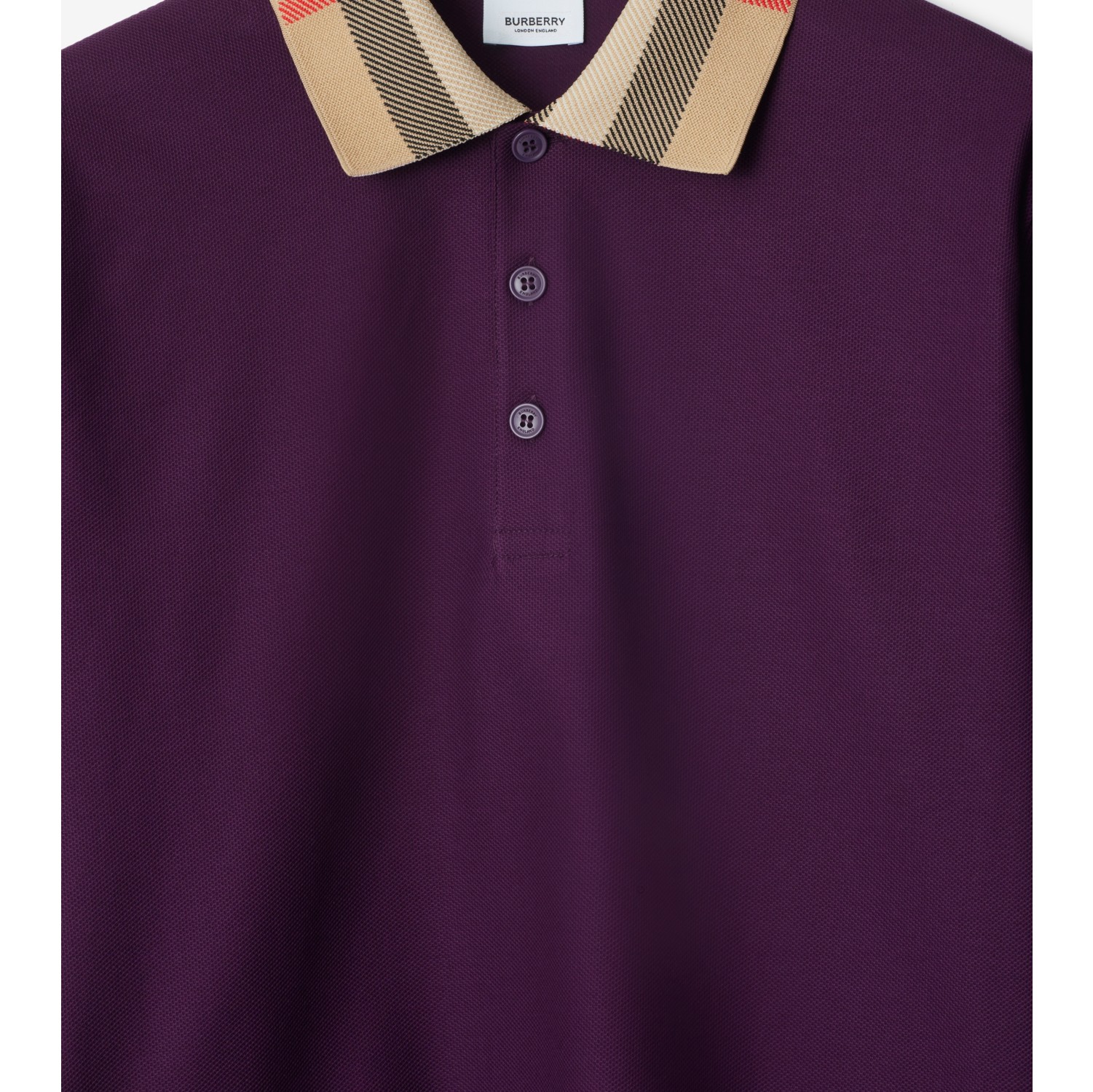 Cotton Polo Shirt in Pansy Men Burberry Official