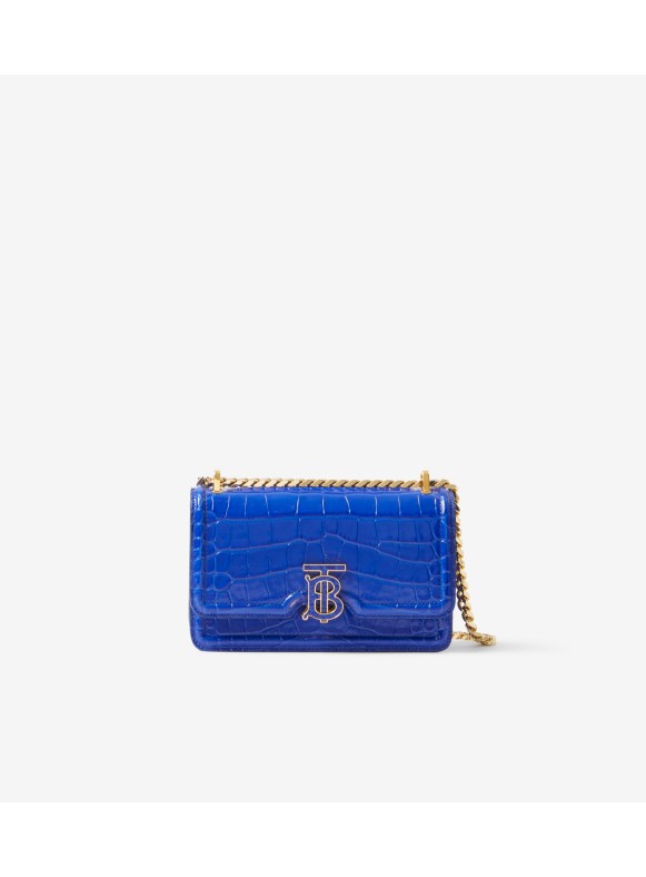 Blue discount burberry purse