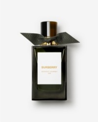 Burberry Signatures Fragrance Midnight Journey Bottle