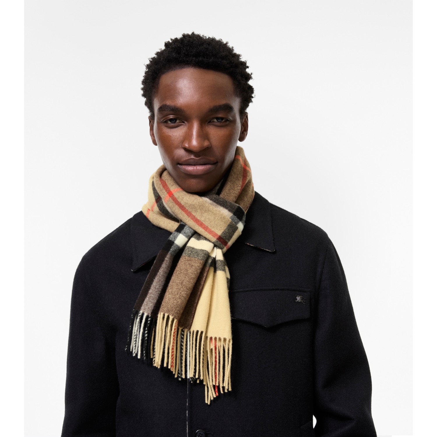 Gradient Check Cashmere Scarf - thumbnail 4
