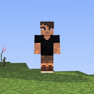 minecraft bag skin