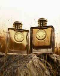 Burberry Gold Fragrance Bottle