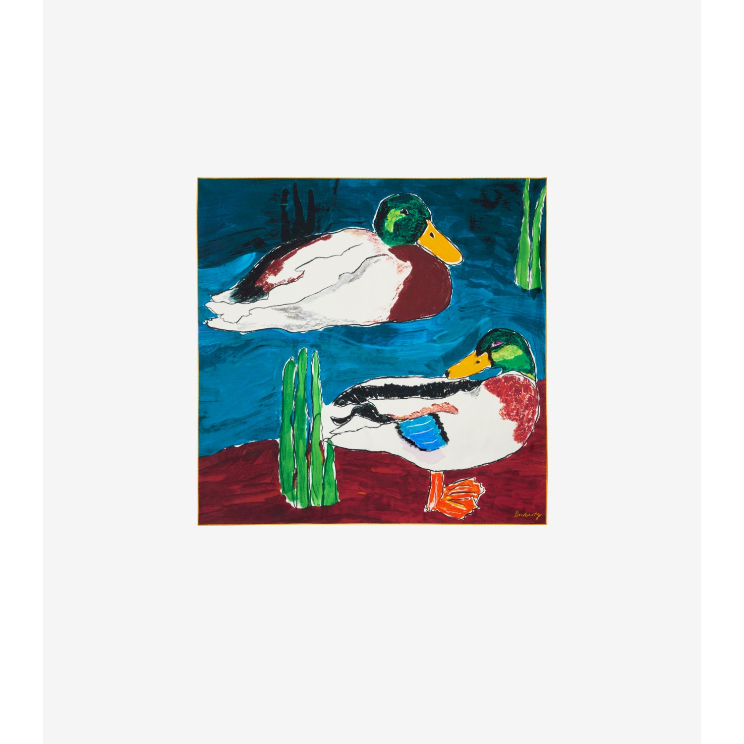 Duck best sale scarves online