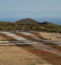 Burberry Landscapes: erstaunliche Entdeckungen