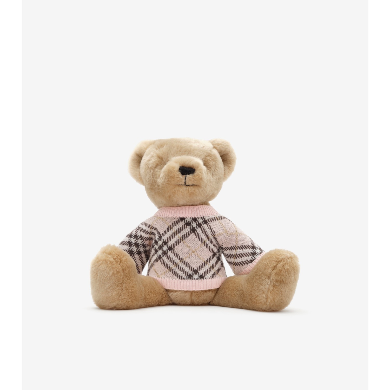 Thomas Bear