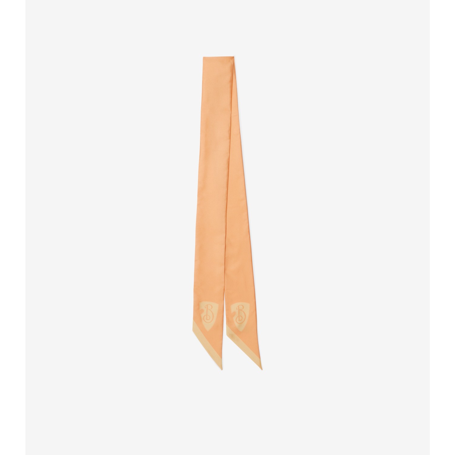 Skinny Reversible B Shield Silk Scarf